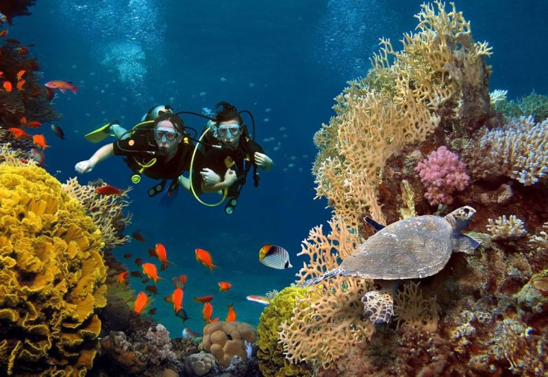 Sharm El Sheikh Turu Kurban Bayramı Özel AJET Havayolları ile 6 Gece 7 Gün