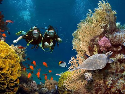 Sharm El Sheikh Turu Kurban Bayramı Özel AJET Havayolları ile 6 Gece 7 Gün