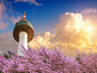 Uzak Doğu'nun Güneşi ve Çiçeği:  ''Japonya ve Güney Kore'' 5 Nisan / 3 Mayıs 