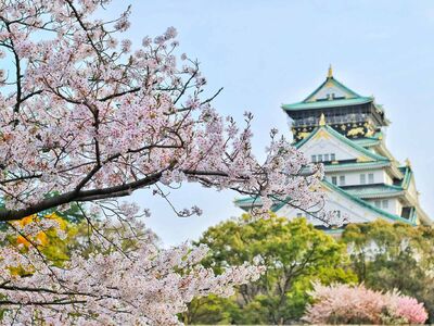 Uzak Doğu'nun Güneşi ve Çiçeği:  ''Japonya ve Güney Kore'' 5 Nisan / 3 Mayıs 
