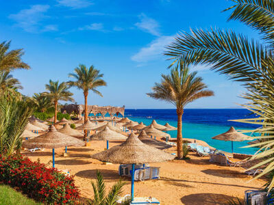 Sharm El Sheikh Turu 3 Gece Tailwind Havayolları ile 5* Golf Beach Resort Ultra Her Şey Dahil- Sabah Uçağı
