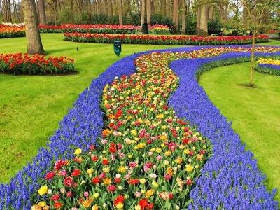 İzmir'den Direkt Hareket SunExpress Hava Yolları ile 7 Gece Yel Değirmenlerinden Eyfel'e  Benelüks & Paris & Almanya