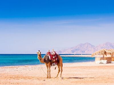 Baştan Başa Mısır 7 Gece 9 Gün Ajet Havayolları ile 5 Akşam Yemeği Dahil - Süper Promo