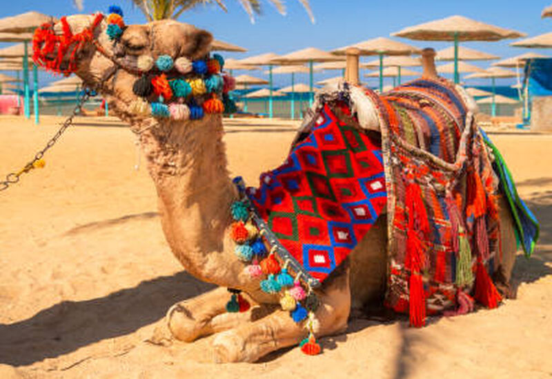 Baştan Başa Mısır 7 Gece 9 Gün Ajet Havayolları ile 5 Akşam Yemeği Dahil - Süper Promo