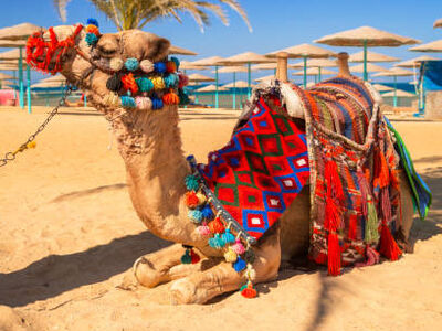 Baştan Başa Mısır 7 Gece 9 Gün Ajet Havayolları ile 5 Akşam Yemeği Dahil - Süper Promo