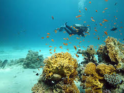 YILBAŞI ÖZEL MEGA PROMOSYONLU SHARM EL SHEIKH TURU 3 GECE 4 GÜN