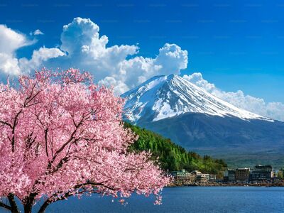 BÜYÜK JAPONYA All Nippon Havayolları ile 6 Gece 8 Gün  (HND-HND)