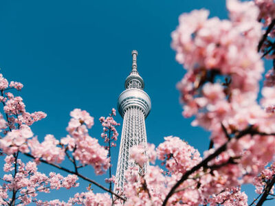 Japonya Kore Turu THY İle 10 Gece 12 Gün