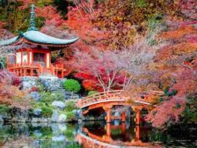 ELEGANT JAPONYA  Türk Hava Yolları İle 7 Gece 9 Gün (KIX-NRT) - Ekstra Turlar Dahil