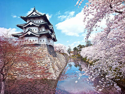 BÜYÜK JAPONYA ( ITM - HND )