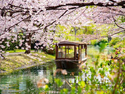 JAPONYA’NIN GİZLİ HAZİNELERİ - KIŞ Türk Hava Yolları ile 9 Gece 10 Gün 