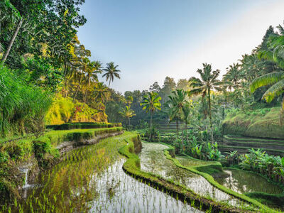 MALEZYA – TAYLAND – SİNGAPUR – ENDONEZYA / BALI Türk Hava Yolları ile 7 Gece 9 Gün 