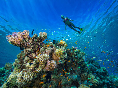 Antalya Hareketli Baştan Başa Mısır Turu Pegasus Hava Yolları İle  8 Gece 10 Gün -Hurghada ve Sharm’da Her Şey Dahil Konaklama 