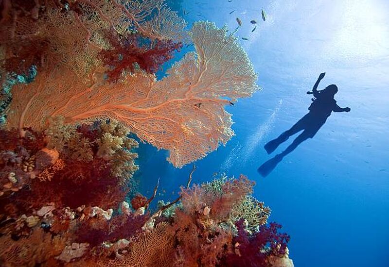 Antalya Çıkışlı Sharm El Sheikh Turu Pegasus Hava Yolları İle 3 Gece 5 Gün- Sharm Şehir Turu Dahil