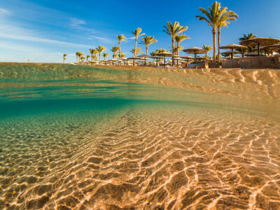 Promosyon Sharm El Sheikh Turu Ajet ile 4 Gece Transfer Saatine Kadar Otel Kullanımlı