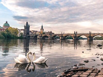 OTOBÜSLÜ BAŞTANBAŞA ORTA AVRUPA TURU 6 GECE 8 GÜN EKSTRA TURLAR DAHİL