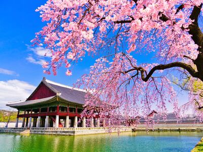 Comfort Japonya & Kore Turu Emirates Hava Yolları ile 9 gece Ekstra Turlar ve Çay Seremonisi Dahil HND-ICN