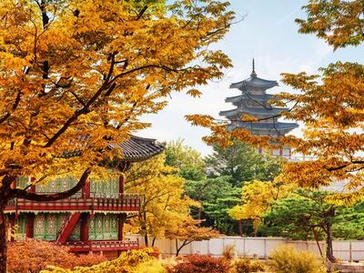 Japonya Kore Turu - Asiana Havayolları İle  10 Gece 12 Gün