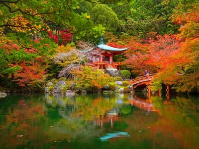 Büyük Japonya Kore Turu- Singapur Havayolları İle