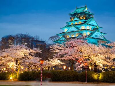 Büyük Japonya Kore Turu- Singapur Havayolları İle