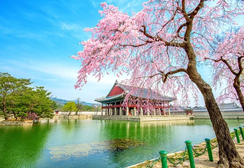 ELEGANT JAPONYA & GÜNEY KORE 9 Gece 12 Gün - Ekstra Turlar Dahil