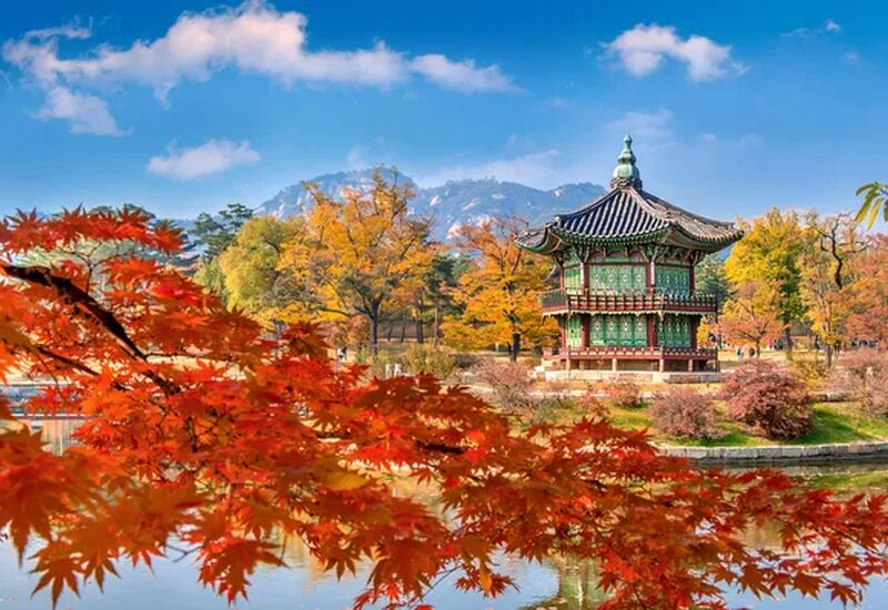 ELEGANT JAPONYA & GÜNEY KORE 9 Gece 12 Gün - Ekstra Turlar Dahil 