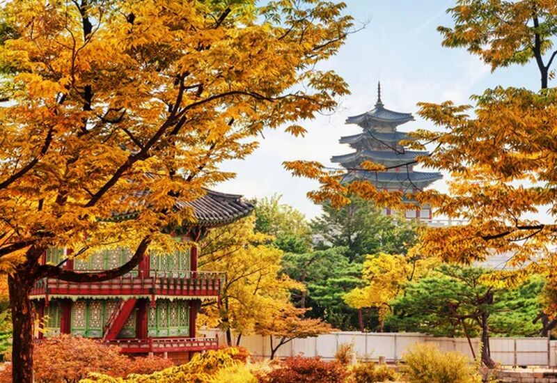 ELEGANT JAPONYA & GÜNEY KORE 9 Gece 12 Gün - Ekstra Turlar Dahil 