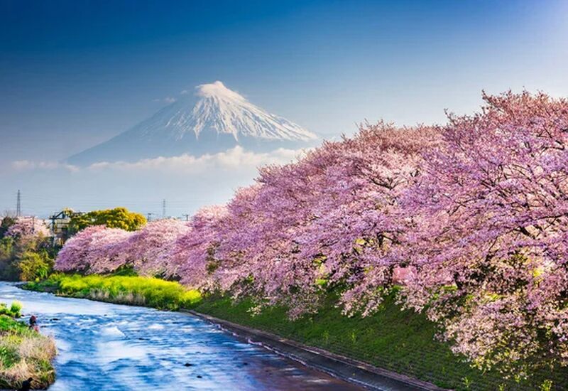 Comfort Japonya Turu Türk Hava Yolları ile 6 gece Ekstra Turlar Dahil ve Çay Seremonisi Dahil NRT-KIX 2026