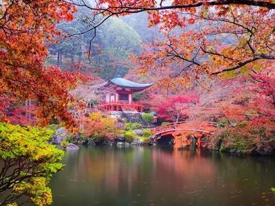 Comfort Japonya Turu Türk Hava Yolları ile 6 gece Ekstra Turlar Dahil ve Çay Seremonisi Dahil NRT-KIX 2026