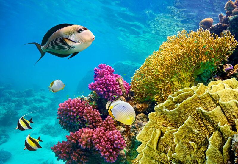 Ekstra Turlar Dahil Baştan Başa Mısır Turu Pegasus Hava Yolları İle 8 Gece 9 Gün - Kurban Bayramı Özel