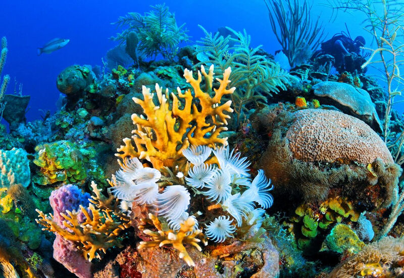 Baştanbaşa Mısır Masalı Ajet Hava Yolları İle 7 Gece 9 Gün 