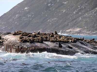 ELEGANT GÜNEY AFRİKA Türk Hava Yolları ile 7 Gece 8 Gün (CPT - JNB)