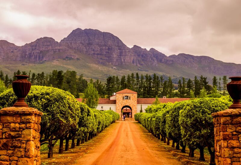 ELEGANT GÜNEY AFRİKA Türk Hava Yolları ile 7 Gece 8 Gün (CPT - JNB)