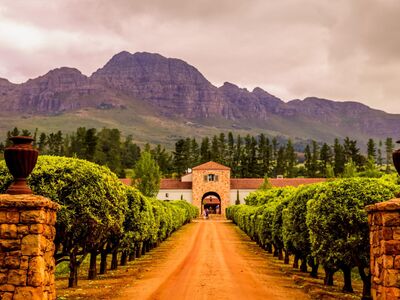 ELEGANT GÜNEY AFRİKA Türk Hava Yolları ile 7 Gece 8 Gün (CPT - JNB)