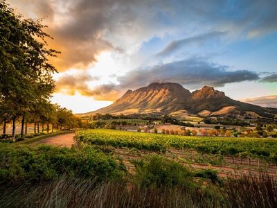 ELEGANT GÜNEY AFRİKA Türk Hava Yolları ile 7 Gece 8 Gün (CPT - JNB)