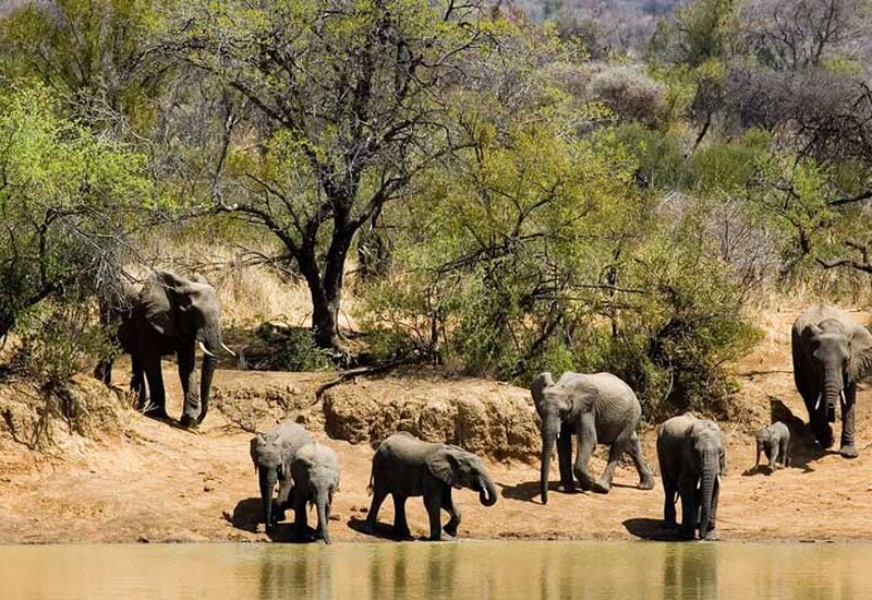 ELEGANT GÜNEY AFRİKA Türk Hava Yolları ile 7 Gece 8 Gün (CPT - JNB)