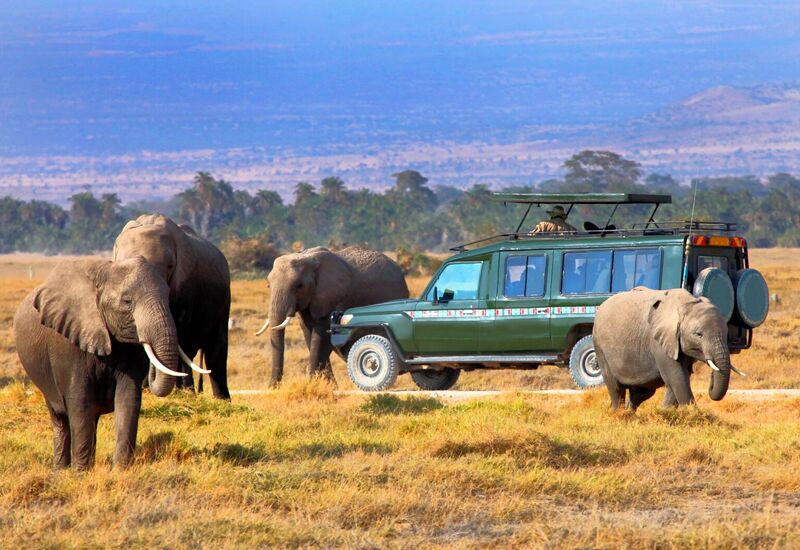 ELEGANT KENYA BÜYÜK GÖÇ Türk Hava Yolları ile 6 Gece 7 Gün (NBO - NBO)