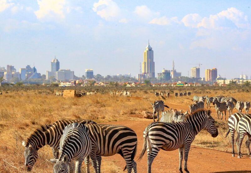 ELEGANT KENYA BÜYÜK GÖÇ Türk Hava Yolları ile 6 Gece 7 Gün (NBO - NBO)