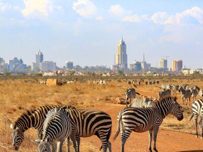 ELEGANT KENYA BÜYÜK GÖÇ Türk Hava Yolları ile 6 Gece 7 Gün (NBO - NBO)