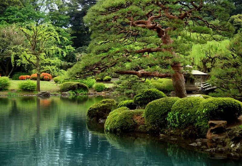 Uzak Doğu’nun Güneşi “Japonya” THY ile 6 gece (HND-KIX) 