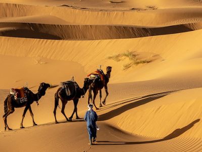ELEGANT SAHRA ÇÖLÜ & TUNUS HAZİNELERİ Türk Hava Yolları ile 5 Gece (TUN-TUN)