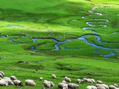 Uçaklı Karadeniz Ve Batum Turu PGS ile 3 Gece 4 Gün