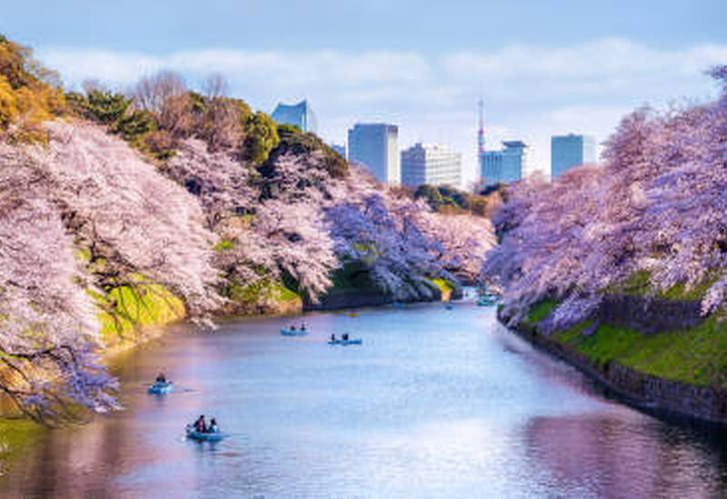 ELEGANT JAPONYA Türk Hava Yolları İle 7 Gece (KIX-NRT) Ekstra Turlar Dahil 2027
