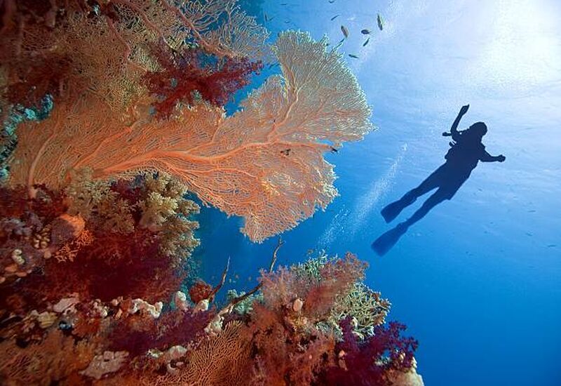 Sharm El Sheikh Turu Türk Havayolları ile 3 Gece Her Şey Dahil Oteller (5* Dreams Beach Resort Sharm El Sheikh Resort vb.(Her Şey Dahil Konsept))
