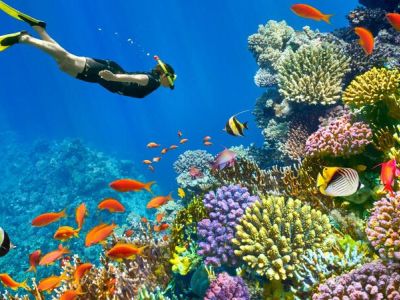 İzmir Hareketli Sharm ve Kahire – Kişi Başı 345 USD’lik Ekstra Tur Dahil - Sharm’da Her Şey Dahil Konaklama - 6 Gece/ 9 Gün