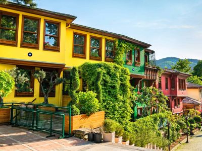 İkonik Cumalıkızık Gölyazı Trilye Turu Günübirlik İstanbul Çıkışlı